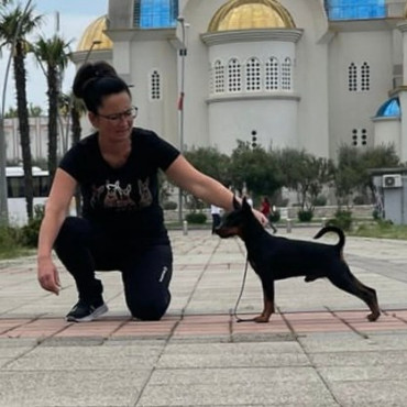 Alminoris Ronaldo Cristiano