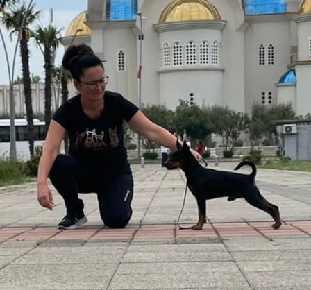 Alminoris Ronaldo Cristiano