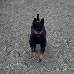 162946370_5168888719850512_7745617596652015574_n