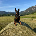 235259516_5863061037099940_9178917559928606489_n