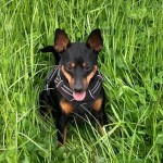 235454787_5863060823766628_8904839515632516701_n