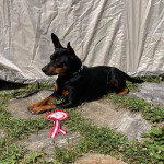 235596497_5863061503766560_8132820288316963400_n