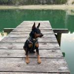 236315645_5863061517099892_3398732746661444843_n