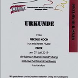 52196beb-4bad-4f8a-b129-0f05994c5584