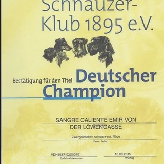 52549a90-8b00-4320-9182-cb90153c70e8