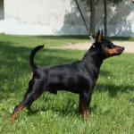 61547039_2296128557294573_3975066269094248448_n