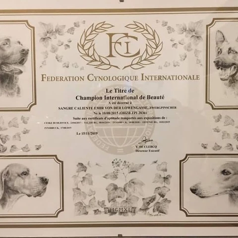 8de1b0c7-a44f-4d2a-8e19-2e3aa64ed9f3