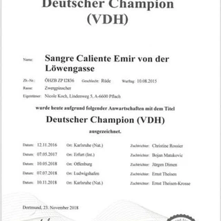 915f1b2b-f95b-4e77-8625-4638cb4ae86f