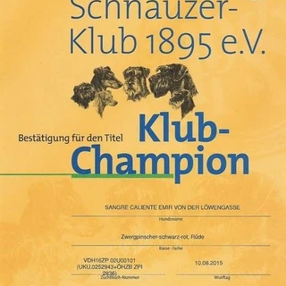 b4960d56-6ca5-47a3-94f9-273df68ef504