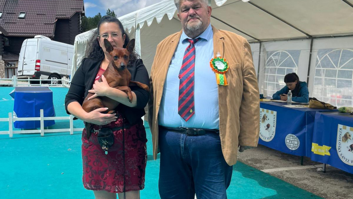 Remir, Rosso und King